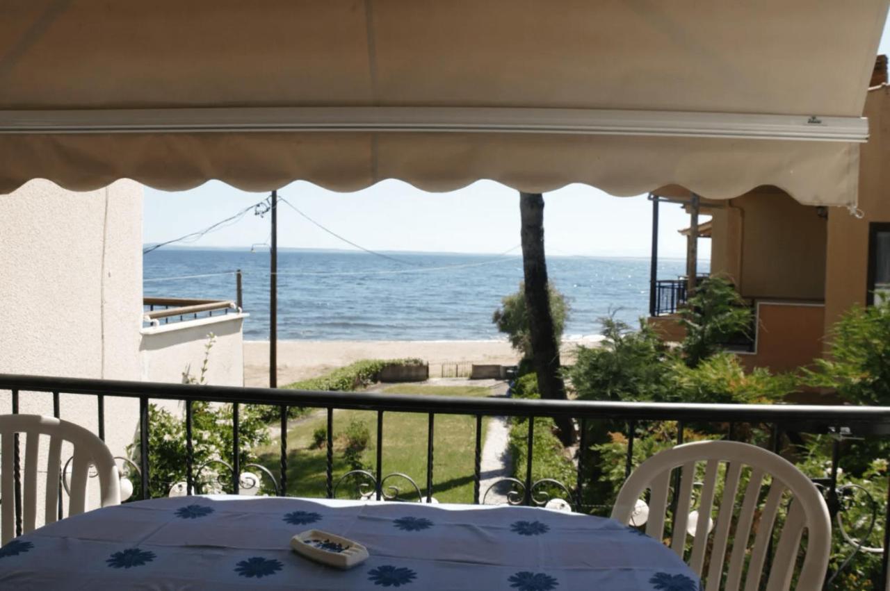 Ferienwohnung Seahouse With View Psakoudia Exterior foto